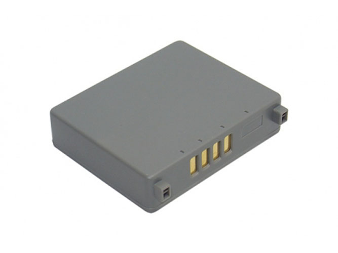 Replacement for PANASONIC SDR-S100, SDR-S100E-S, SDR-S100EG-S, SDR-S150, SDR-S150E-S, SDR-S150EB-S, SDR-S150EG-S, SDR-S200, SDR-S300 Digital Camera Battery
